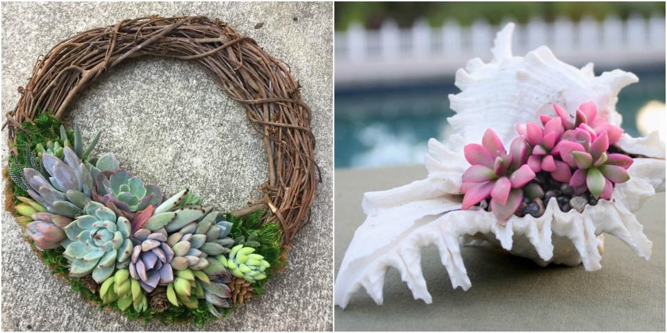 11 New (and Creative) Ways to Show Off Your Succulents