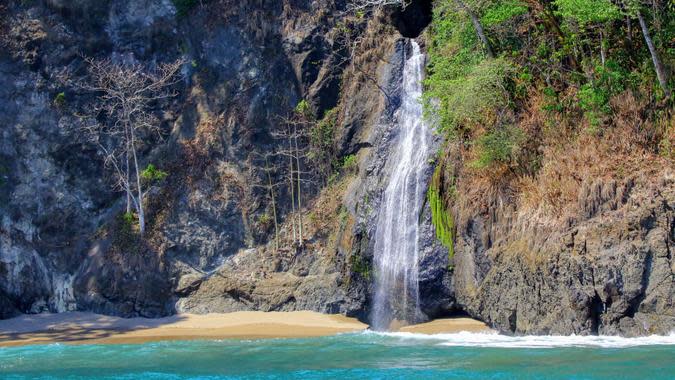 Tanguy de Saint-Cyr / Shutterstock.com