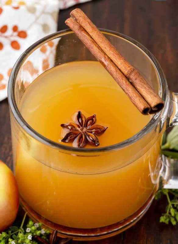<p>The Country Cook</p><p>Apple cider is good, apple cider spiked with vodka is glorious. </p><p><strong>Get the recipe: <a href="https://www.thecountrycook.net/warm-apple-cider-cocktail/" rel="nofollow noopener" target="_blank" data-ylk="slk:Warm Apple Cider Cocktail;elm:context_link;itc:0;sec:content-canvas" class="link rapid-noclick-resp">Warm Apple Cider Cocktail</a></strong></p>