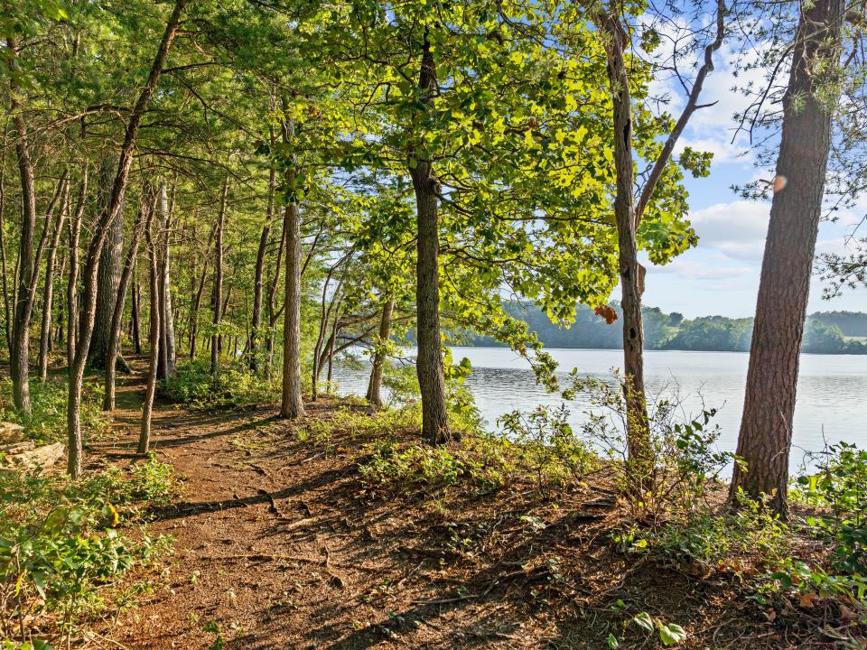 The island is heavily wooded.