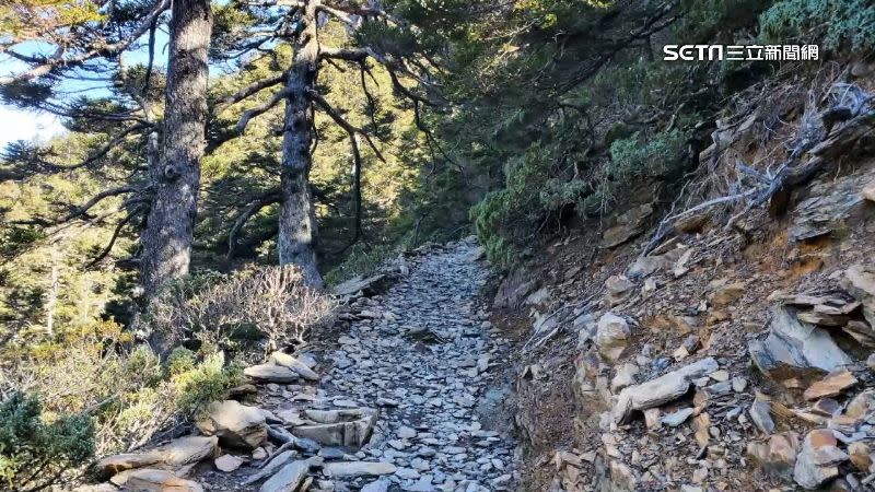 在前往玉山主峰的路上，王姓登山客突然倒地且失去生命跡象。