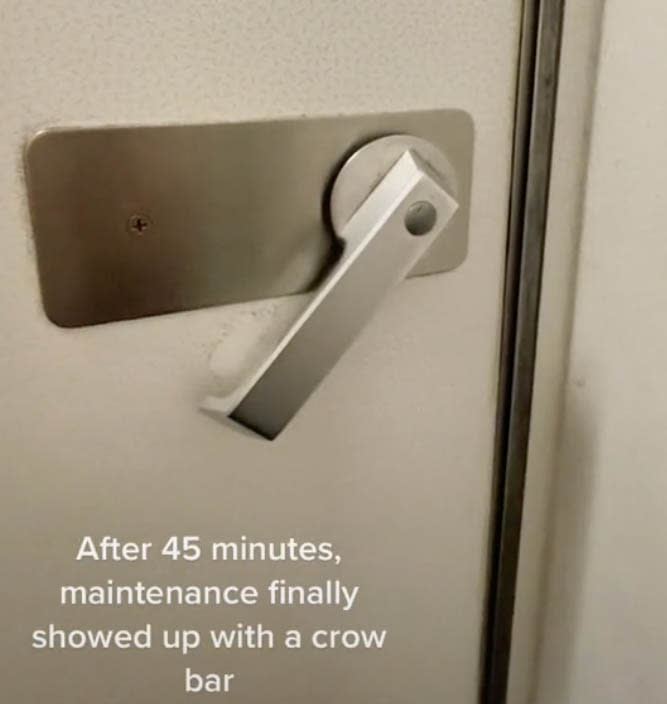 Ms Googe was locked in the bathroom on the Southwest Airlines flight. Source: TikTok/ hgooge