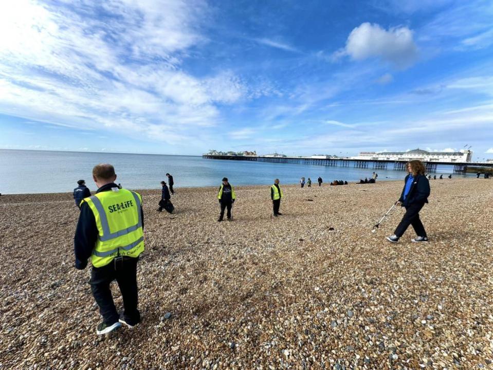The Argus: The team went litter picking on Monday morning