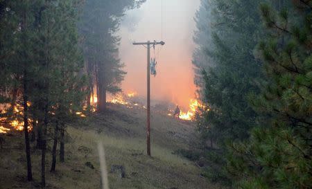 A fire fighter watches flames from a back fire at the Canyon Creek Complex Fire as a power line stands in the foreground in this handout photo taken August 17, 2015 and released to Reuters August 19, 2015. REUTERS/Gert Zoutendijk/Oregon State Fire Marshal/Handout