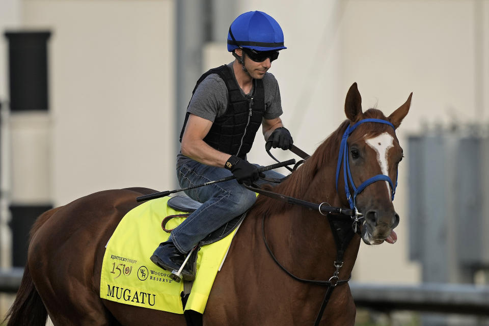 Kentucky Derby alternate Mugatu comes onto the track to work out at Churchill Downs Wednesday, May 1, 2024, in Louisville, Ky. The 150th running of the Kentucky Derby is scheduled for Saturday, May 4. (AP Photo/Charlie Riedel)