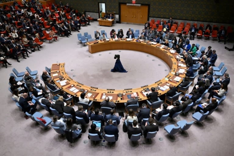 Réunion du Conseil de sécurité de l'ONU à New York, le 18 avril 2024 (ANGELA WEISS)