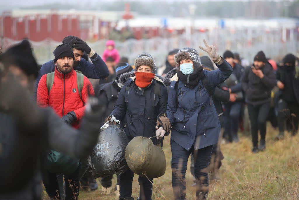 Migrants walk along the barbed wire as they gather at the Belarus-Poland border (Leonid Shcheglov/BelTA pool photo via AP) (AP)