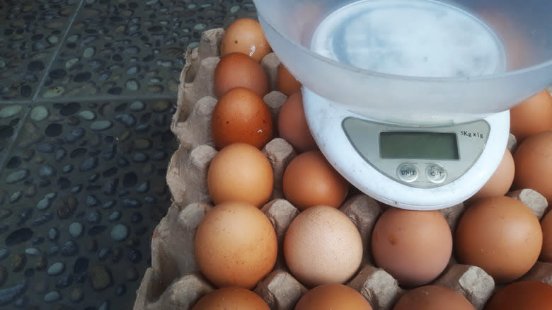 eggs and a scale