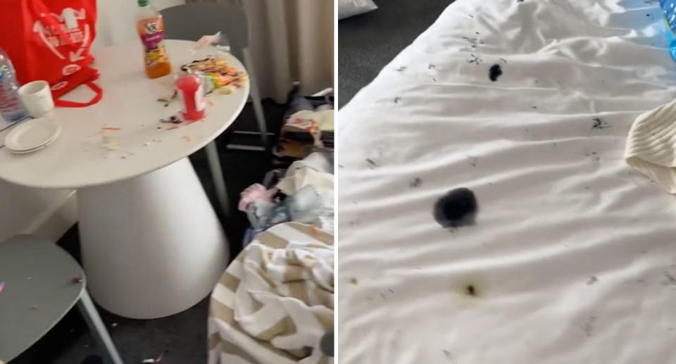 A photo of the food the cockatoos stole from the hotel room in the Reef View Hotel in Hamilton Island. A photo of their bed, which the cockatoos defecated on. 