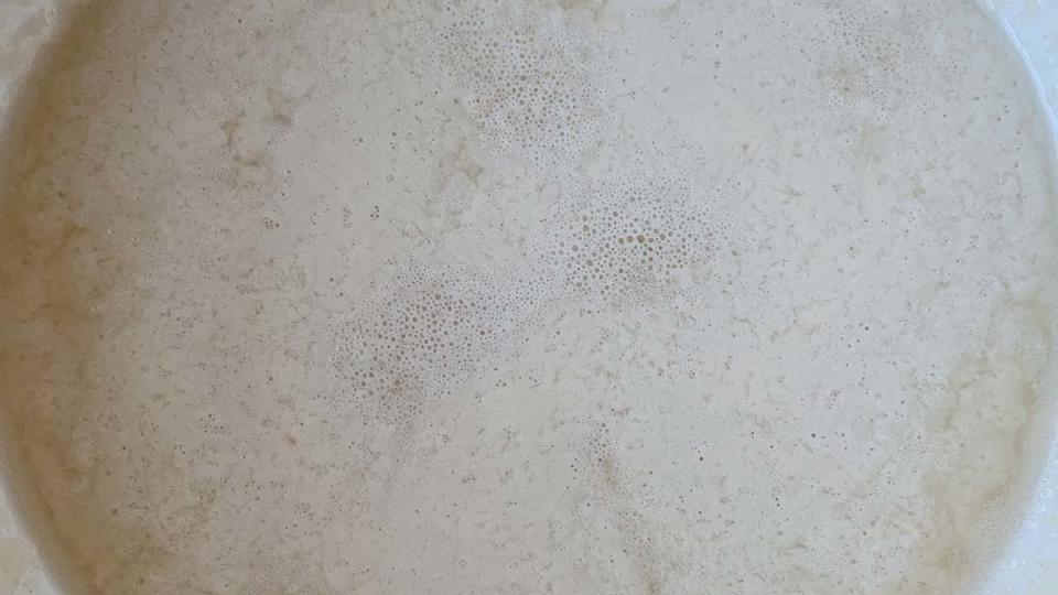 A closeup of my sourdough starter