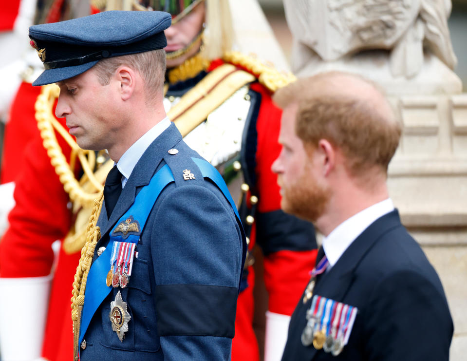 Prince Harry, Prince William, King Charles