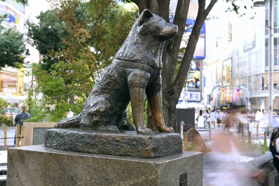 Shibuya Crossing Hachiko Statue