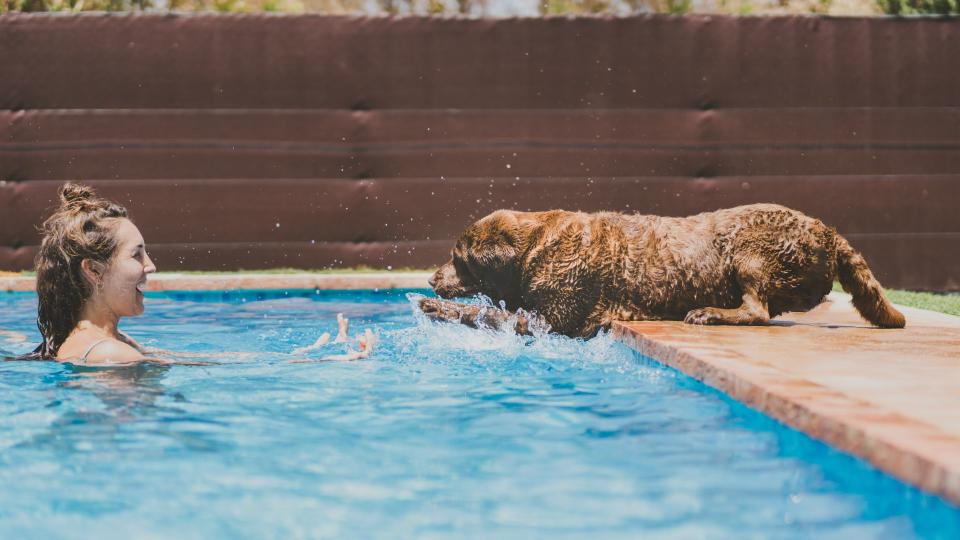 Woman swimming with dog