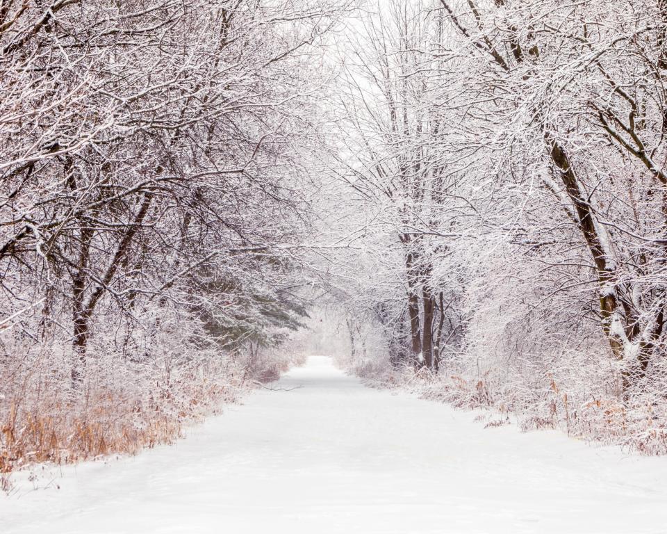 Photo of the North Branch Trail in winter