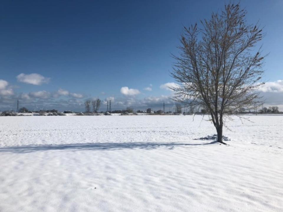 Environment Canada has issued a winter weather advisory for much of southwestern Ontario Monday. The region is estimated to receive 5 to 10 cm of snow by midnight.  (Submitted by Sherrie Grondin - image credit)