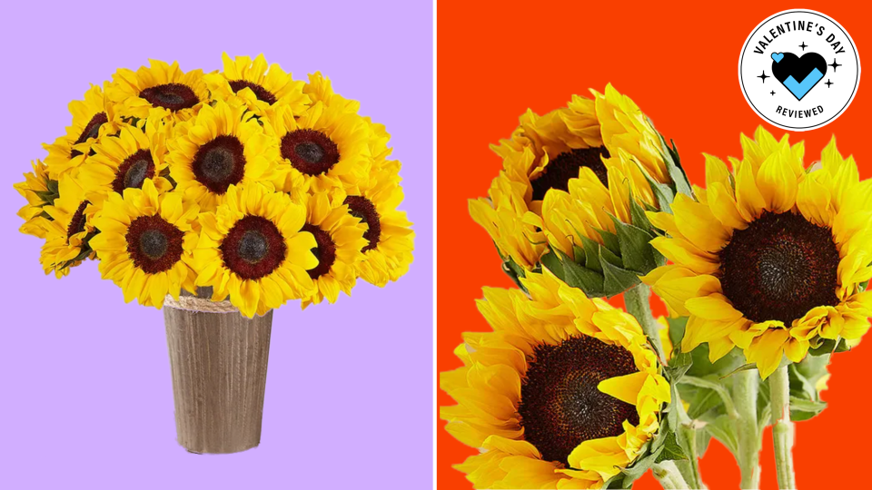 Add a little sunshine into your special someone's life this Valentine's Day.