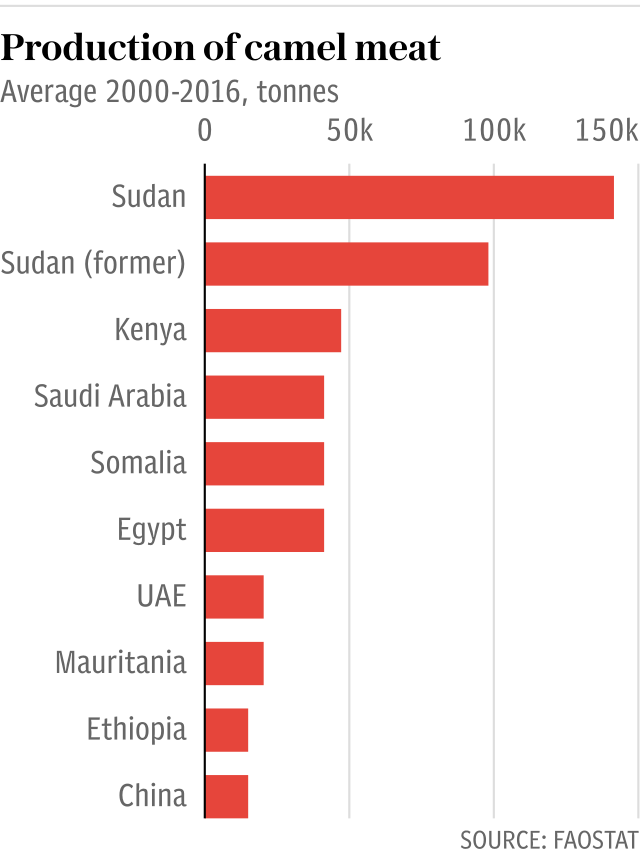 Production of camel meat