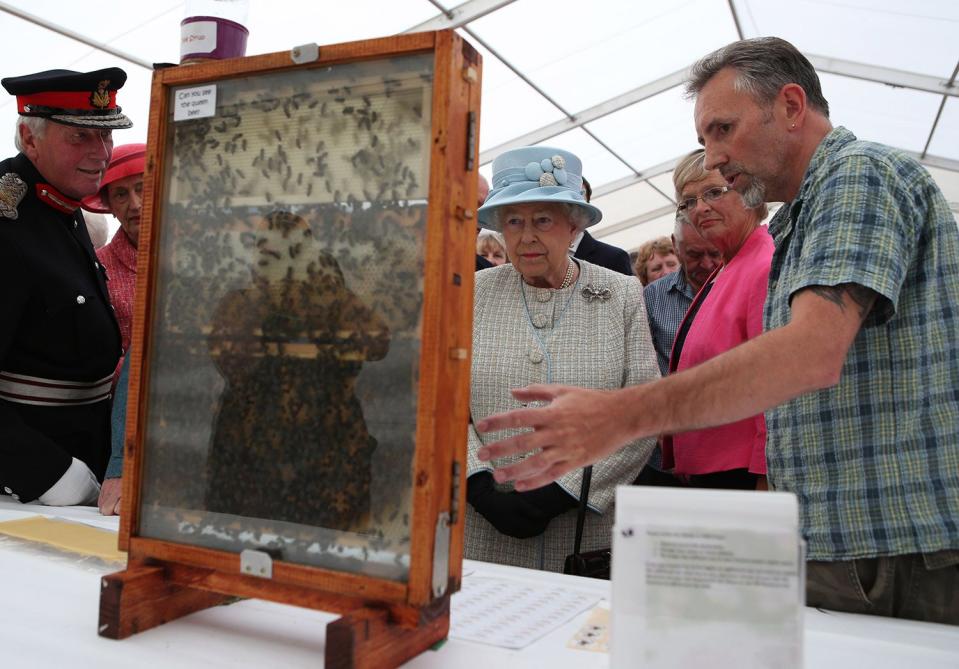 Queen Elizabeth II at the Aberdeen Bee Keepers Association