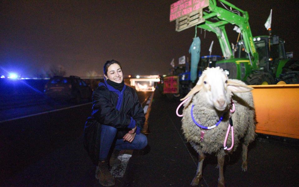 A 24yo animal osteopath with her sheep Bouchon on a blockade east of the French capital