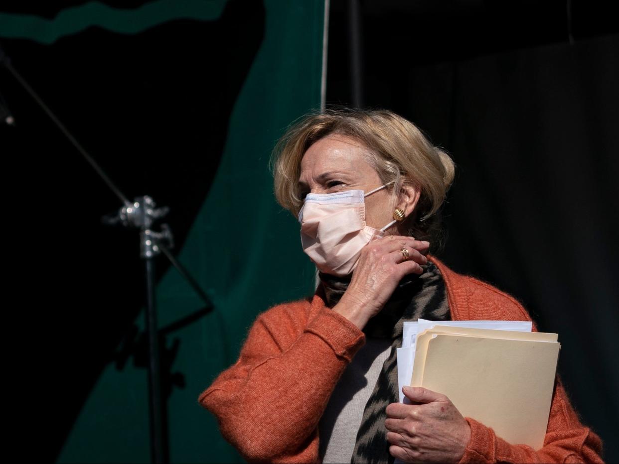 Dr Deborah Birx  (Getty Images)