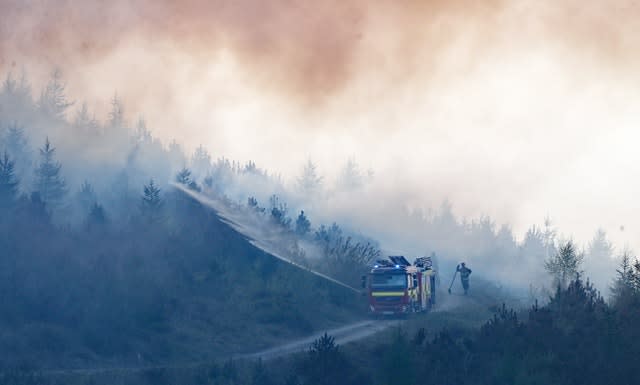 Newry wildfire