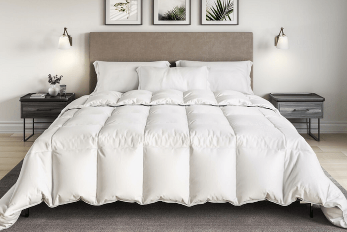 Organic All Year Down Alternative Comforter