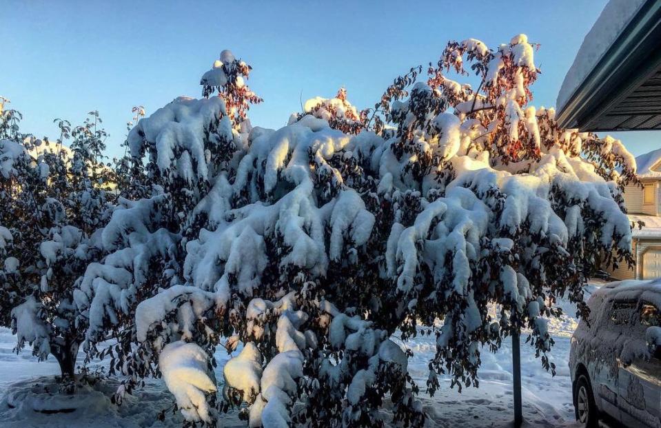 Calgary snow