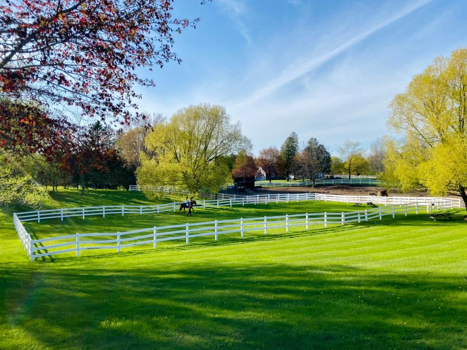 Heaven’s Gait Ranch, Inc., in Cedar Grove.