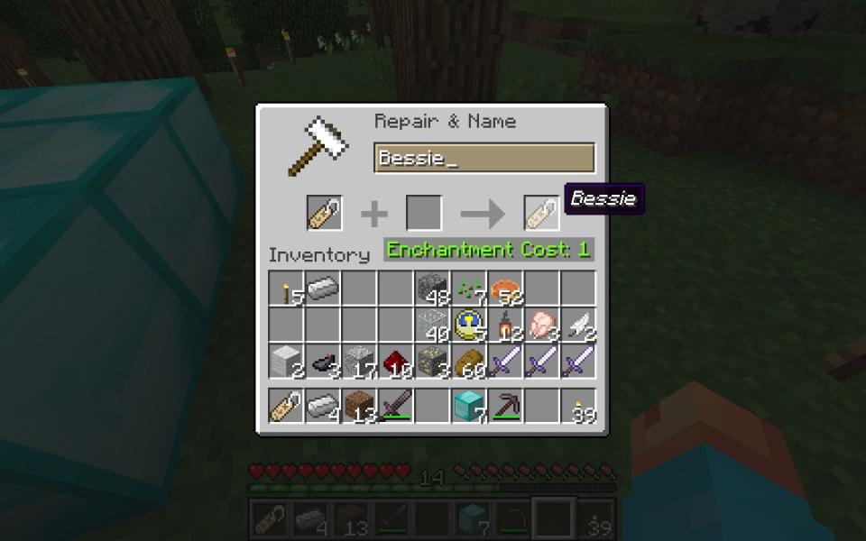 1   how to use name tag in minecraft