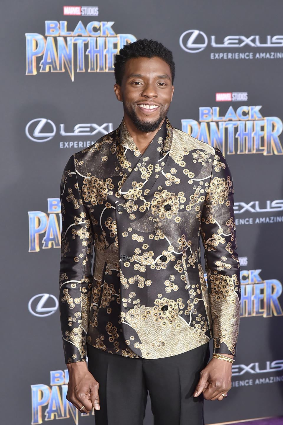 HOLLYWOOD, CA - JANUARY 29:  Chadwick Boseman attends the Premiere Of Disney And Marvel's 'Black Panther' - Arrivals on January 29, 2018 in Hollywood, California.  (Photo by David Crotty/Patrick McMullan via Getty Images)