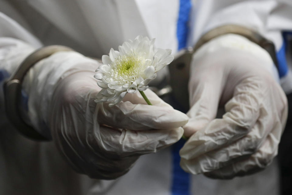 Detained left-wing activist Reina Mae Nasino in handcuffs and wearing a protective suit to prevent the spread of the coronavirus holds a flower as she attends funeral rites for her three-month-old firstborn named River at Manila's North Cemetery, Philippines on Friday Oct. 16, 2020. Left-wing groups on Friday decried the treatment as brutal of Nasino, who was allowed by a Manila court to attend her baby's burial but was restrained with handcuffs, a sweltering protective suit and swarms of armed escorts as she quietly wept. (AP Photo/Aaron Favila)