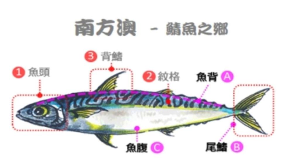 官網簡報上的「鯖魚」被當地人質疑是進口「正鯖」，而非當地盛產的花腹鯖魚、白腹鯖魚。（圖／翻攝自公路總局-南方澳跨港大橋重建工程官網）