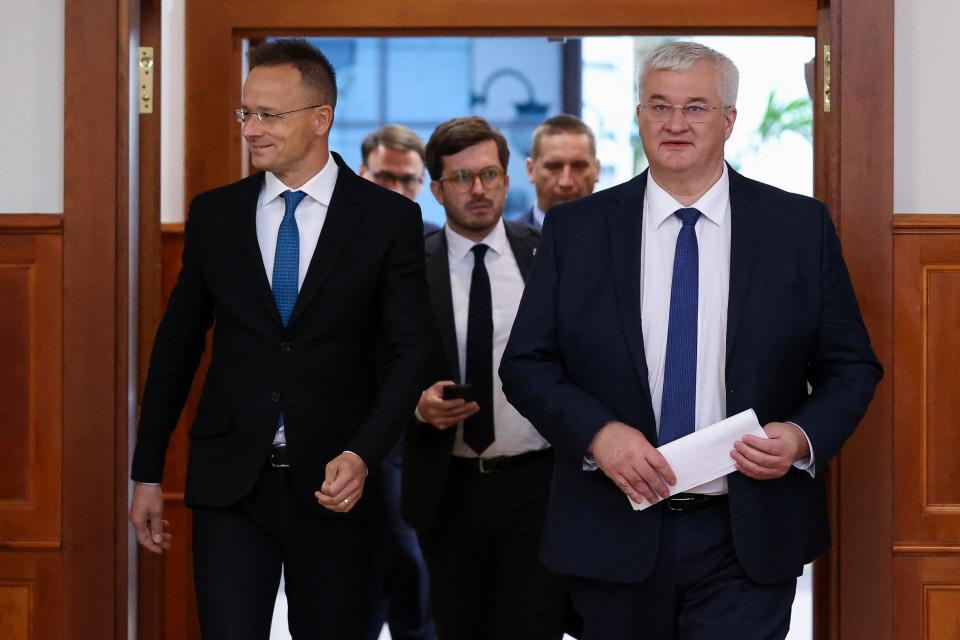 Ukraine’s new Foreign Minister Andrii Sybiha walks with his Hungarian counterpart during a visit to the neighbouring country (REUTERS)