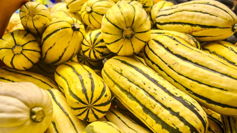 Delicata squash pile