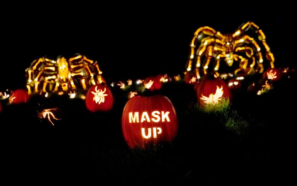 The words 'mask up' seen carved into a pumpkin during the Great Jack OLantern Blaze in Croton-on-Hudson, New York   -  TIMOTHY A. CLARY / AFP