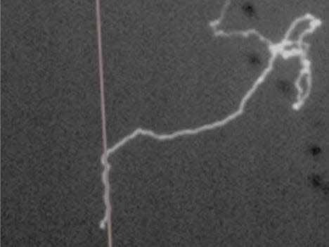 Side by side images show lightning seemingly curving away from its path to follow a bright laser beam being shot toward the sky