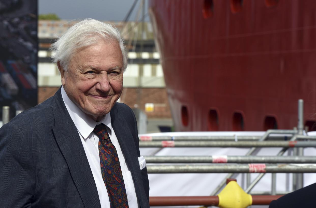 David Attenborough smiles at a ceremony for the naming of the RRS Sir David Attenborough at Camel Laird shipyard, Birkenhead, England, Thursday, Sept. 26, 2019. (Asadour Guzelian/Pool Photo via AP)