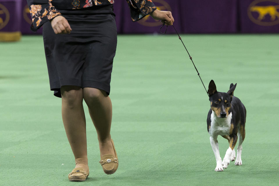 (AP Photo/Mary Altaffer)