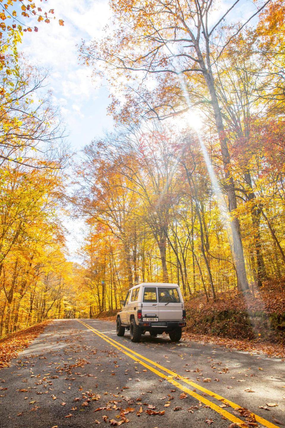 Car driving through fall foliage