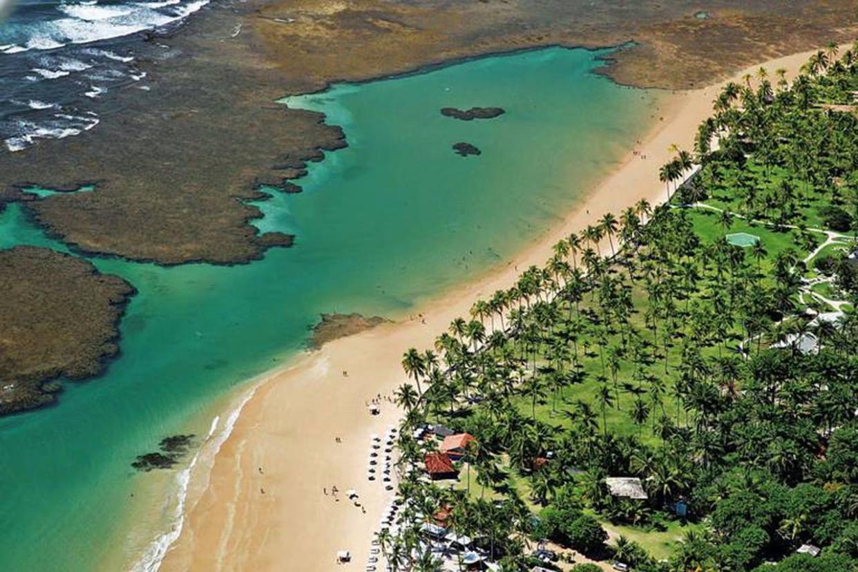 Las playas son el paraíso vacacional de muchos, pero según una investigación hay que tomar medidas para evitar que se "extingan" en un futuro