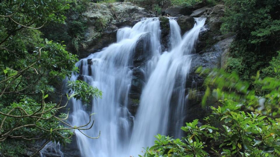 雙流國家森林遊樂區則擁有豐富負離子、絕美雙流瀑布，以及沿山、帽子山等步道。   圖：取自台灣山林悠遊網