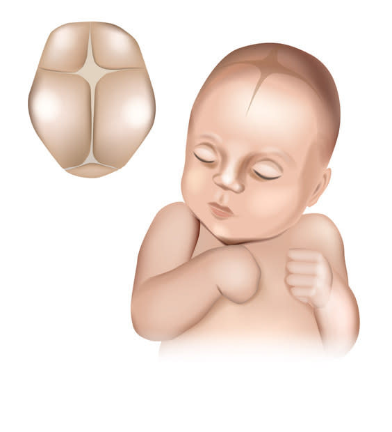 An illustration showing the top of a baby's head