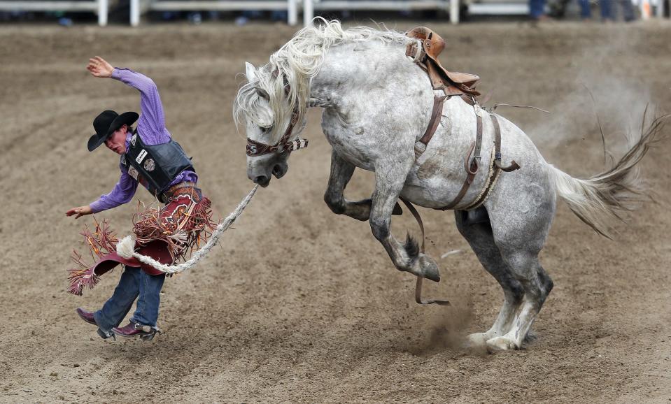 Elshere of Faith, South Dakota flies off the horse Virgil in the saddle bronc event during day 3 of the Calgary Stampede rodeo in Calgary,.