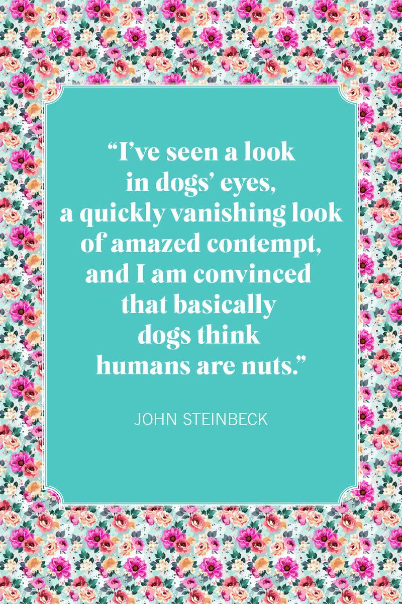 dog mom quotes john steinbeck