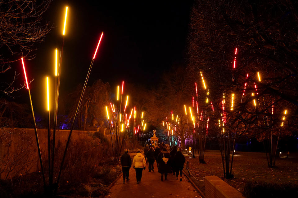 Visitors to the Chicago Botanic Garden's Lightscape experience of light and music as they walk through "Ros'O," created by French artist TILT, in Glencoe, Ill., on Thursday, Dec. 14, 2023. (AP Photo/Charles Rex Arbogast)