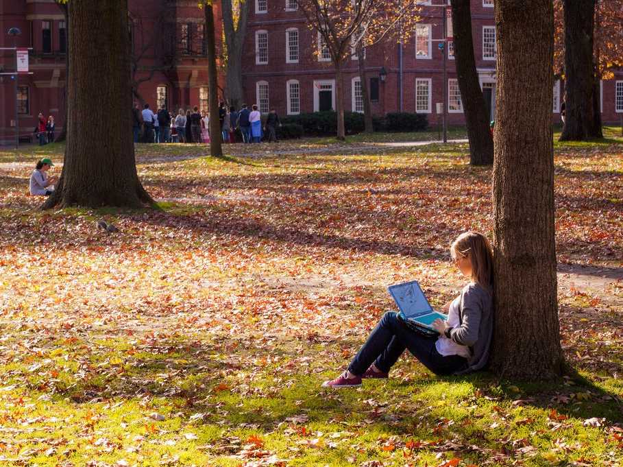 harvard yard