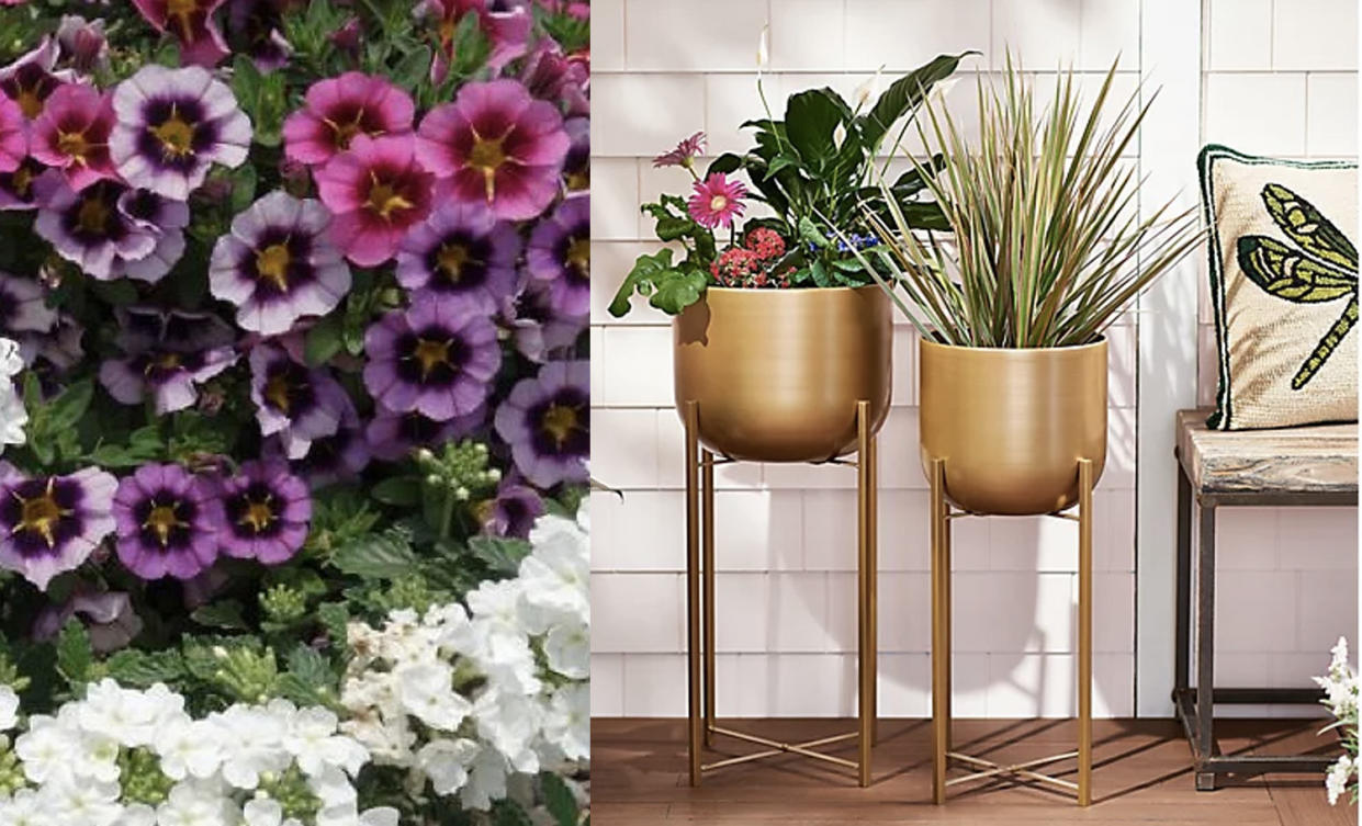 Flowers add an instant pop of color, and planters add pizazz. (Photo: QVC)