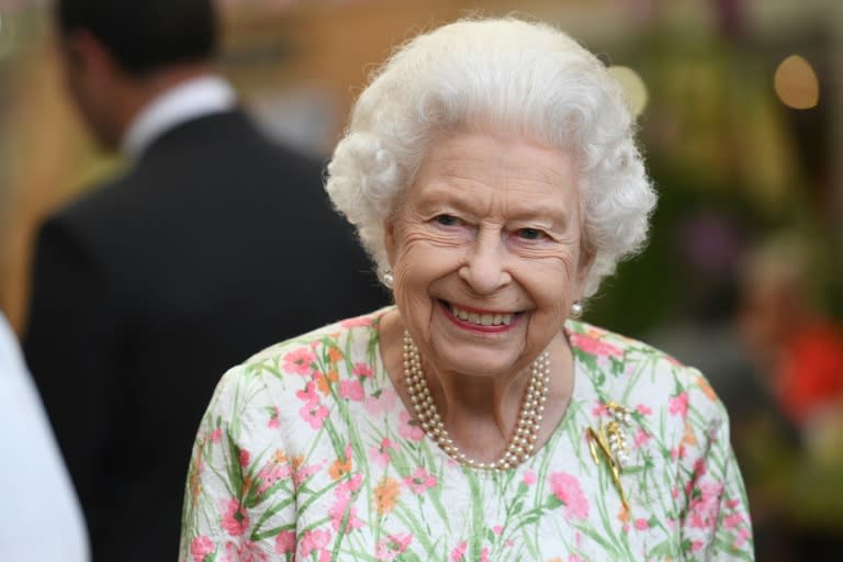 Queen Elizabeth II will be the only British monarch to have ruled for 70 years (AFP/Oli SCARFF)