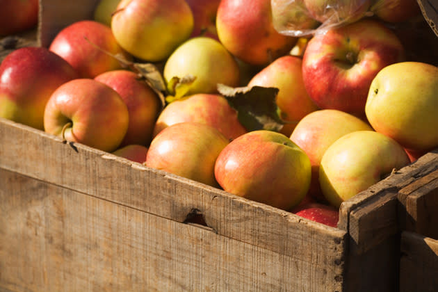 Gäbe es einen Pestizid-Wettbewerb herbstlicher Obstsorten wären sie die unumstrittenen Gewinner: Äpfel. Und das, liebe Apfel-Liebhaber ist ein echtes Problem: Denn wie immer mehr Studien zeigen, steht eine hohe körperliche Pestizidbelastung im Zusammenhang mit der Parkinson Krankheit. Greifen Sie also besser zu ungespritzten Früchten anstatt zu konventionell angebauten Äpfeln. Damit tun Sie Ihrer Gesundheit garantiert etwas Gutes. (Bild: thinkstock)