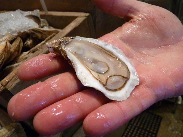 Health officials warn that people can be infected with Vibrio vulnificus, bacteria that can cause severe and life-threatening illness, when they eat raw shellfish, particularly oysters.
